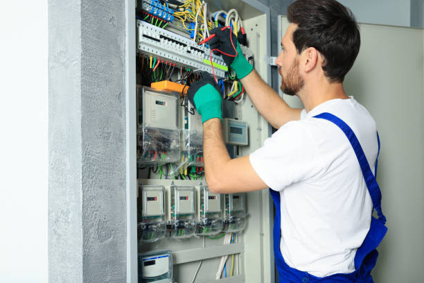Best Ceiling Fan Installation Electrician  in Merton, WI